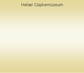 Sz�vegdoboz: Halasi Csipkem�zeum
