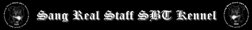 Sang Real Staff SBT Kennel