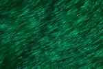 smaragdzöld