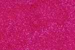 fuchsia csillámos