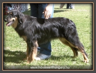 Szőke Tiszaparti Apol