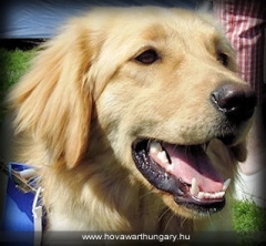 Szőke Tiszaparti Aida