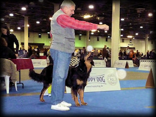 CALIMERO KATCINA SMECKA - Hungária Junior Champion