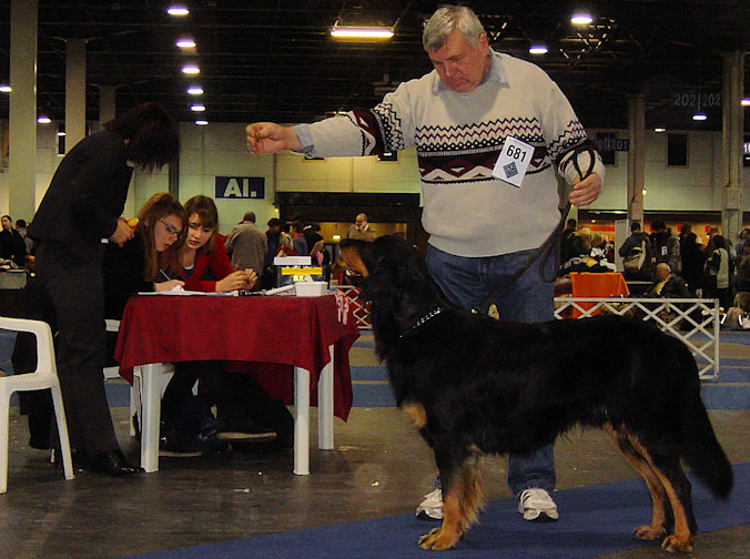 CALIMERO KATCINA SMECKA