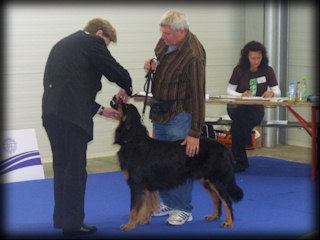 CALIMERO KATCINA SMECKA