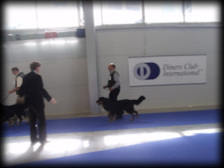 SZŐKE TISZAPARTI AJAX