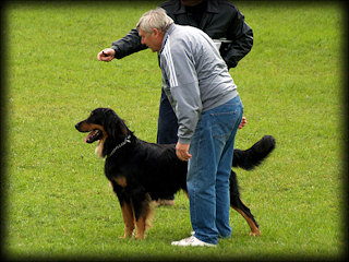 CALIMERO KATCINA SMECKA