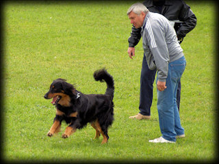 CALIMERO KATCINA SMECKA