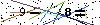 Veiligheids Code