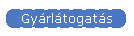 Gyrltogats