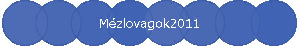 Mzlovagok2011