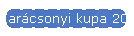Karcsonyi kupa 2011