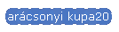 Karcsonyi kupa2011