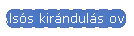 Alss kirnduls ovisokkal
