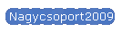 Nagycsoport2009