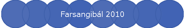 Farsangibl 2010