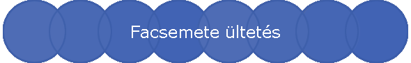 Facsemete ltets