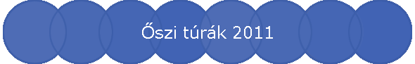 szi trk 2011