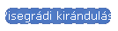 Visegrdi kirnduls 2011