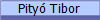 Pity Tibor
