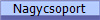 Nagycsoport