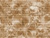 bg29e