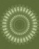 bg7a