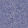 bgbg004[1]