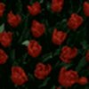 bground13[1]