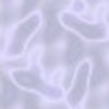 motif001[1]