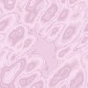 motif006[1]