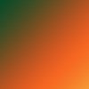 tropical_09