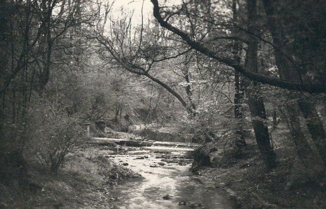 ja04.jpg