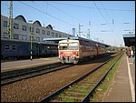bzmot-361.JPG