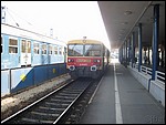 bzmot-386.JPG