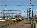 v43-1142(2).JPG