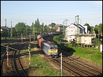 v43-1052(2).JPG