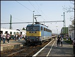 v43-1366(8).JPG