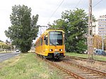 1553(2).JPG