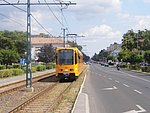 1606.JPG