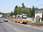 4056.JPG