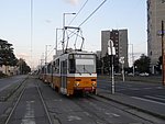 4280.JPG