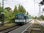 919.JPG
