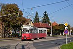 195(11).jpg