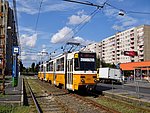 4094.jpg