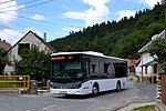 DSC_0164 (2).jpg