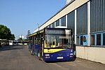 DSC_0164.jpg