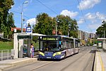 DSC_0175.jpg