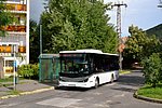 DSC_0179.jpg