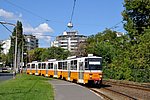 dsc_0077.jpg